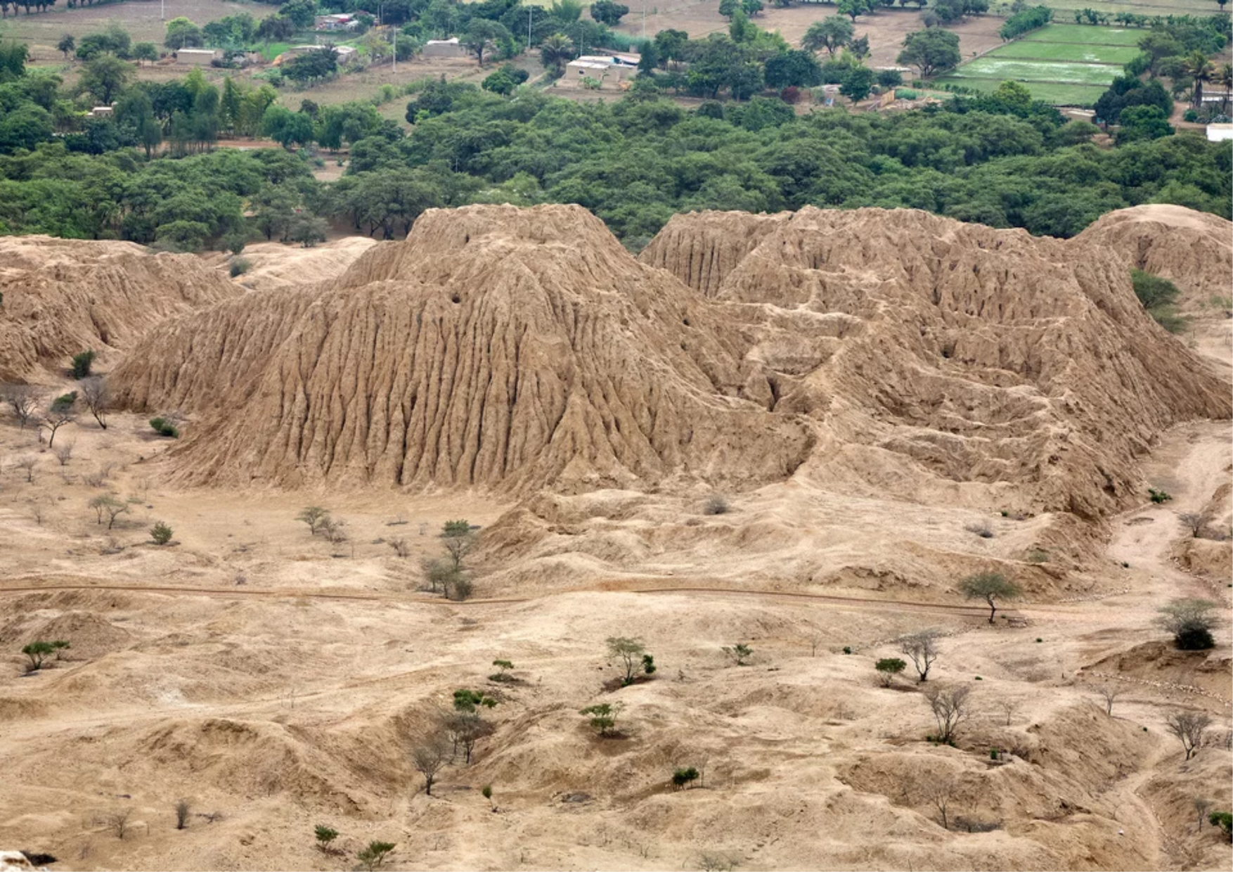 Inicio huaca